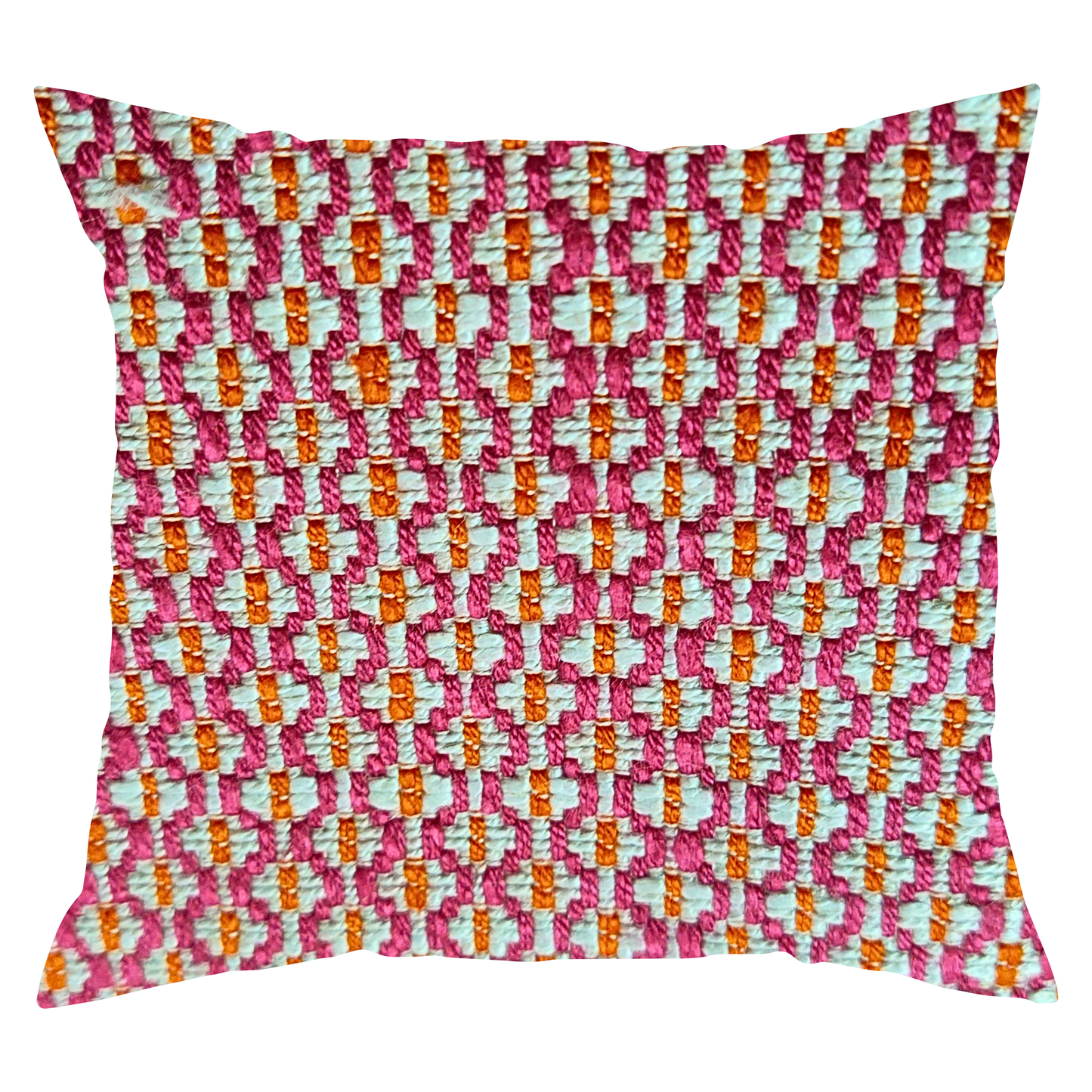 Fuchsia Flair Pillow