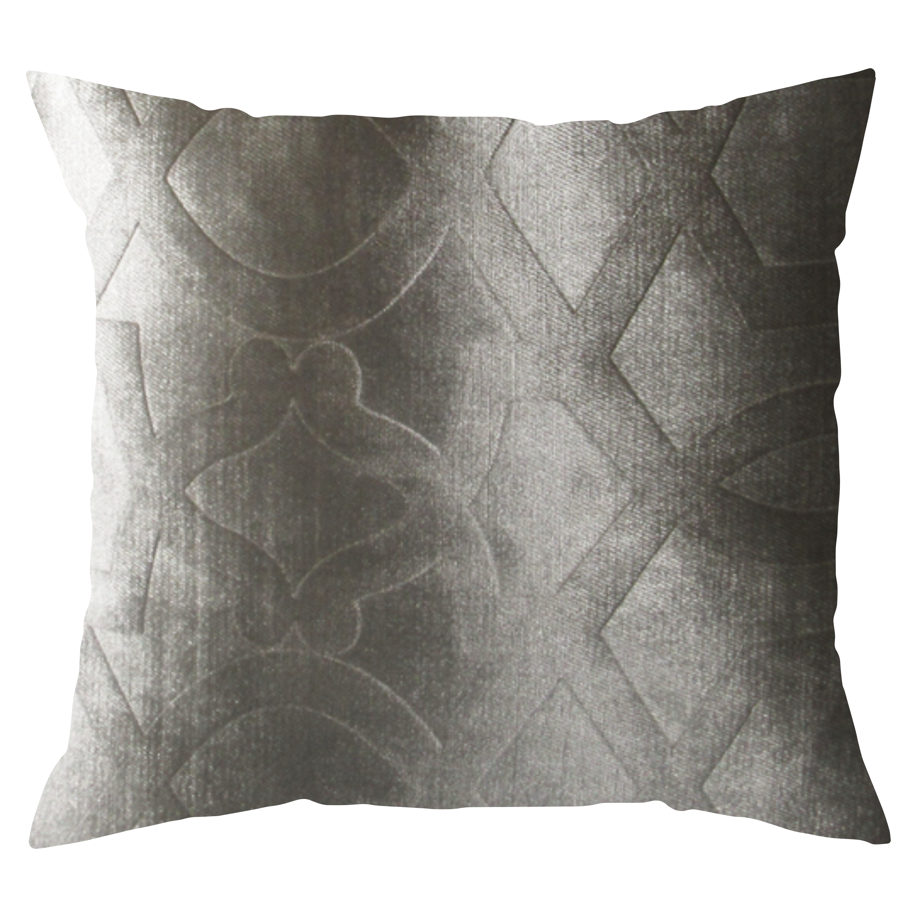 Backdrop Pillow