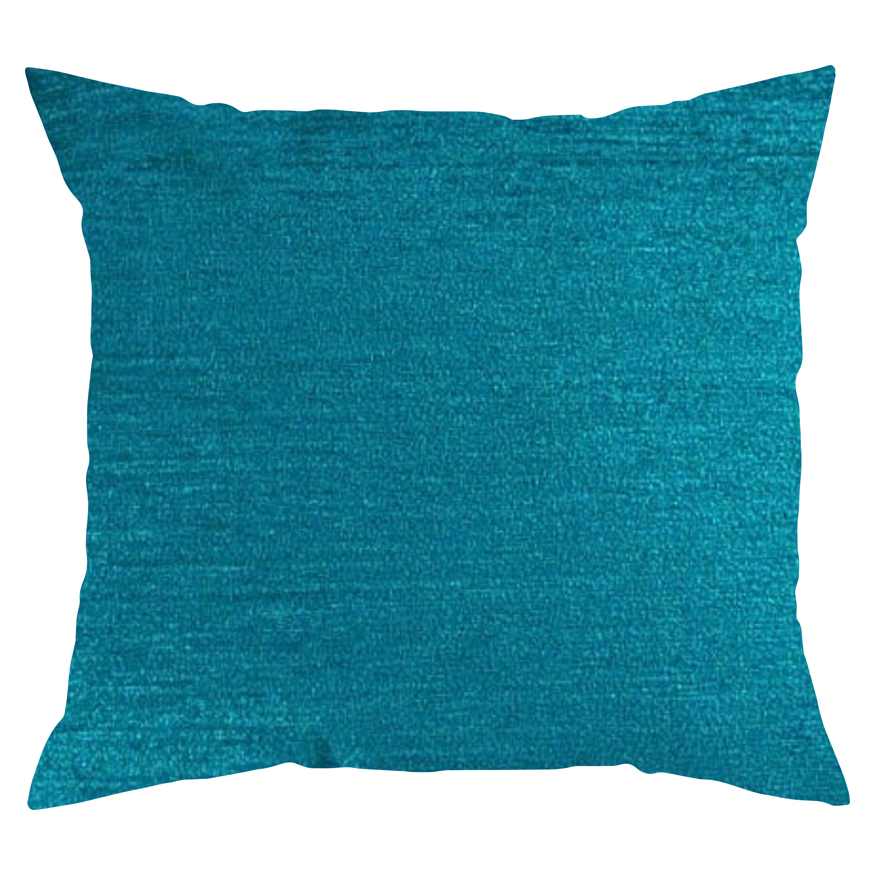 Peacock designer throw pillow | Makena Decor